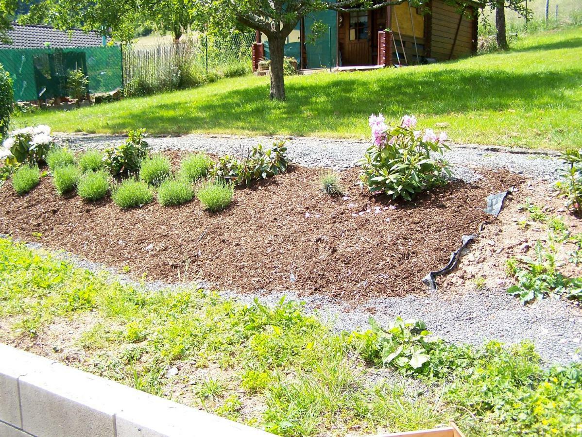 Katharina Ferienwohnung Am Eifelsteig Neroth Ngoại thất bức ảnh